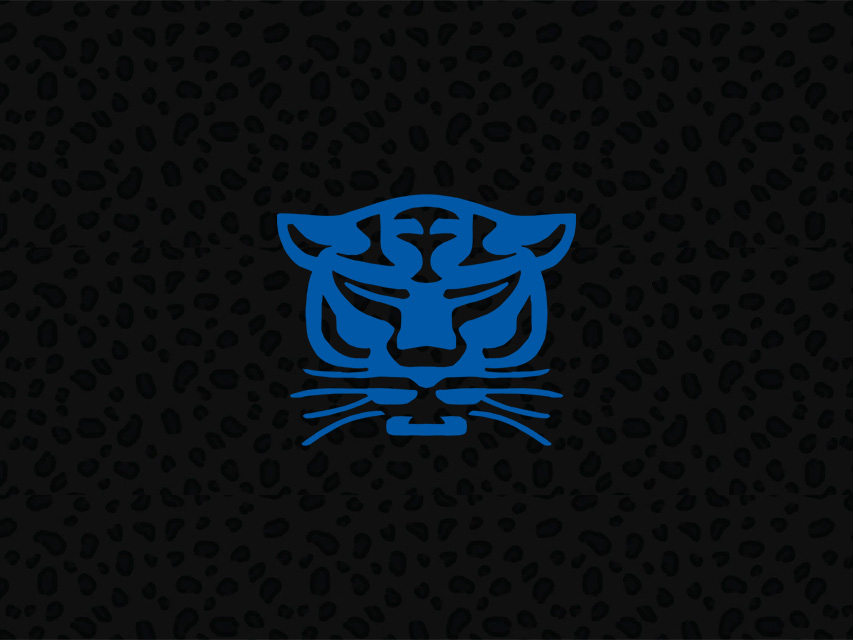 Head of Player Pathway - Join the Birmingham Panthers